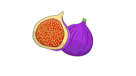 animated fig